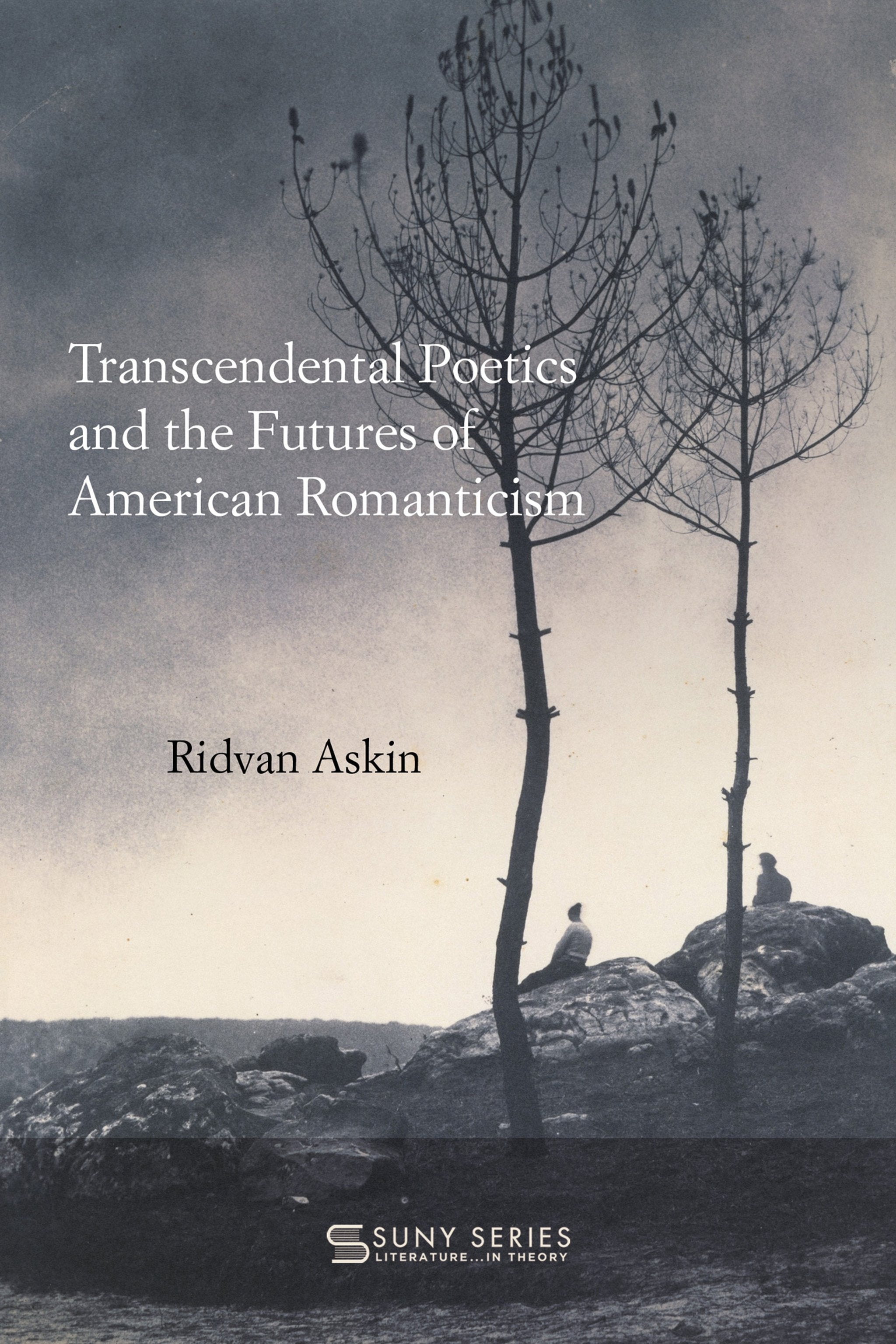 Cover image for Transcendental Poetics and the Futures of American Romanticism ISBN 9798855809084